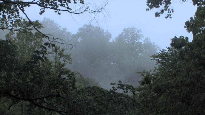 Mist on Blair Mountain. Photo by Jordan Freeman