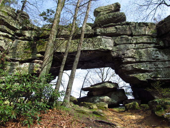 Window Rock, in the "Tennessee Lands Unsuitable for Mining" petition area