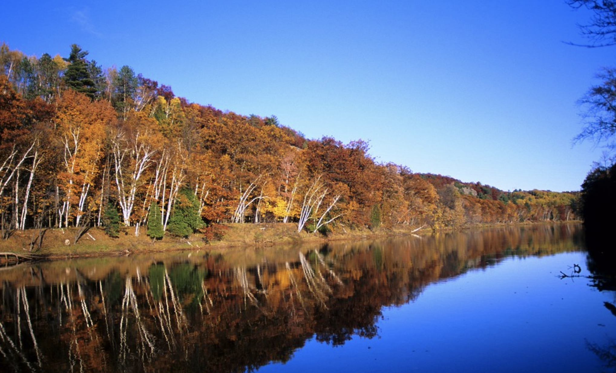 Fall foliage next to the Menominee River