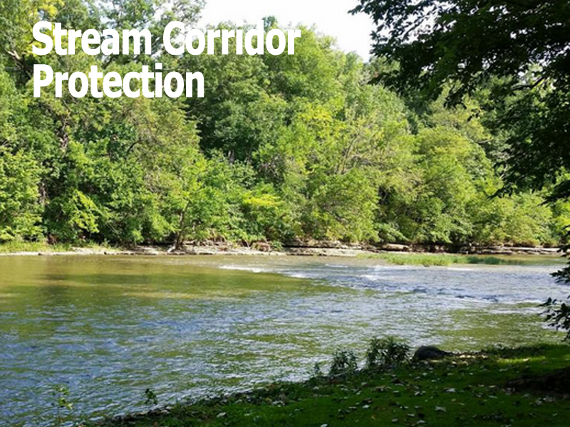 Stream Corridor Protection