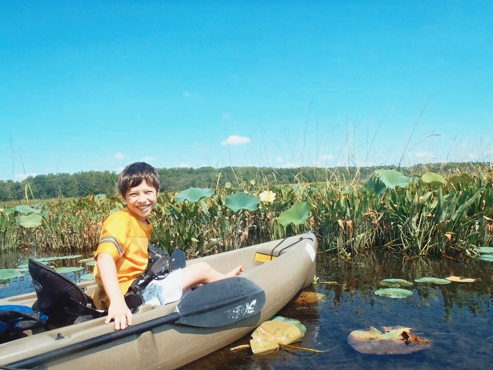 A boy kayaks on Mattawoman Creek, where he is surrounded by rich plant life