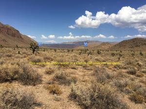 photo of Cactus Flat dam site