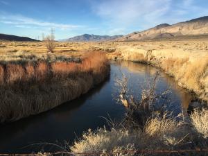 photo of Owens River at start of LORP