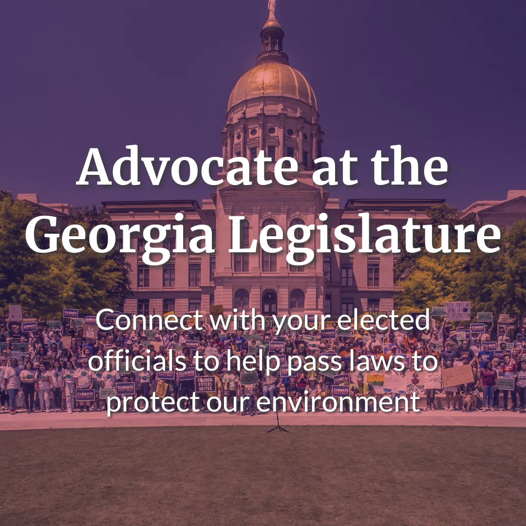 Advocate at the Georgia Legislature: Connect with your elected officials to help pass laws to protect our environment