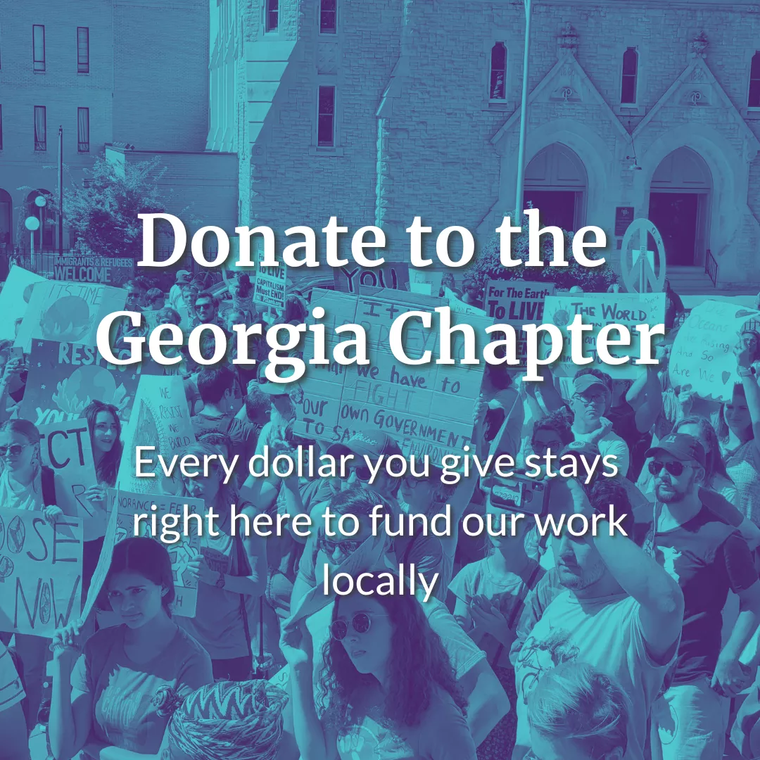 Donate to the Georgia Chapter. Every dollar you give stays right here to fund our work locally