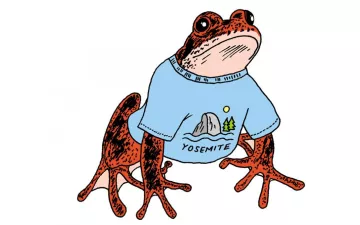 illustration of a frog wearing a tshirt