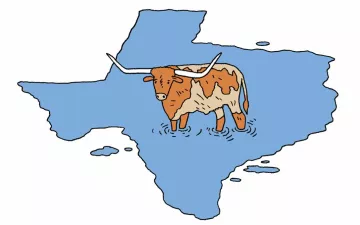 illustration of texas with a cow in the middle