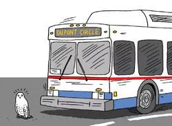 illustration of a snowy owl in front of a bus