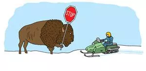illustration of a bison holding a stop sign up to a snowmobile