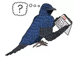 illustration of a bird looking at a calendar