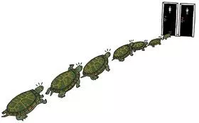 illustration of a line of turtles all going into a female bathroom