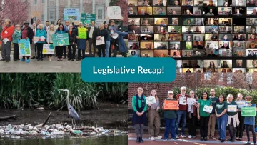 Collage of pictures featuring people holding signs at rallies, a heron on a pile of plastic litter, and a screenshot image of a virtual event on zoom. 
