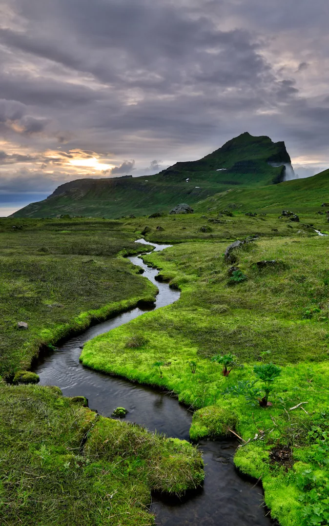 Hornstrandir Nature Reserve, Iceland