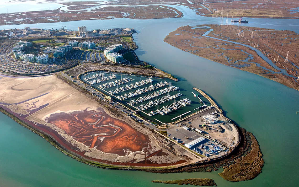 In the face of climate change-driven sea level rise, floods, and storms, mature wetlands can provide an important buffer between coastal communities and the Bay.