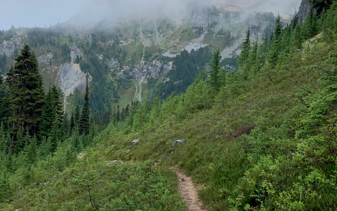 A trail through the North Cascades