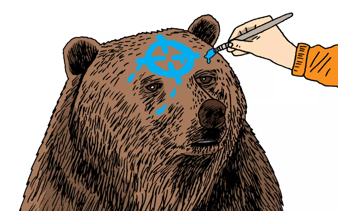 a bear with a target being drawn on its head