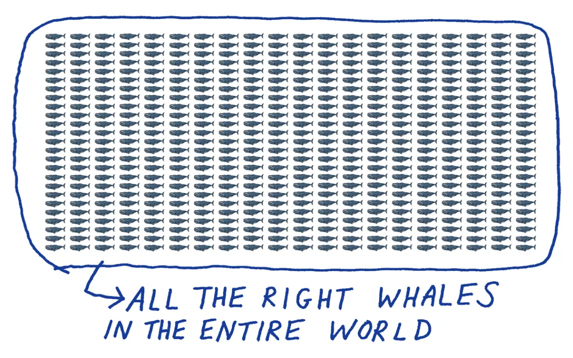 a square with whales inside that says 'All the Right whales in the world'