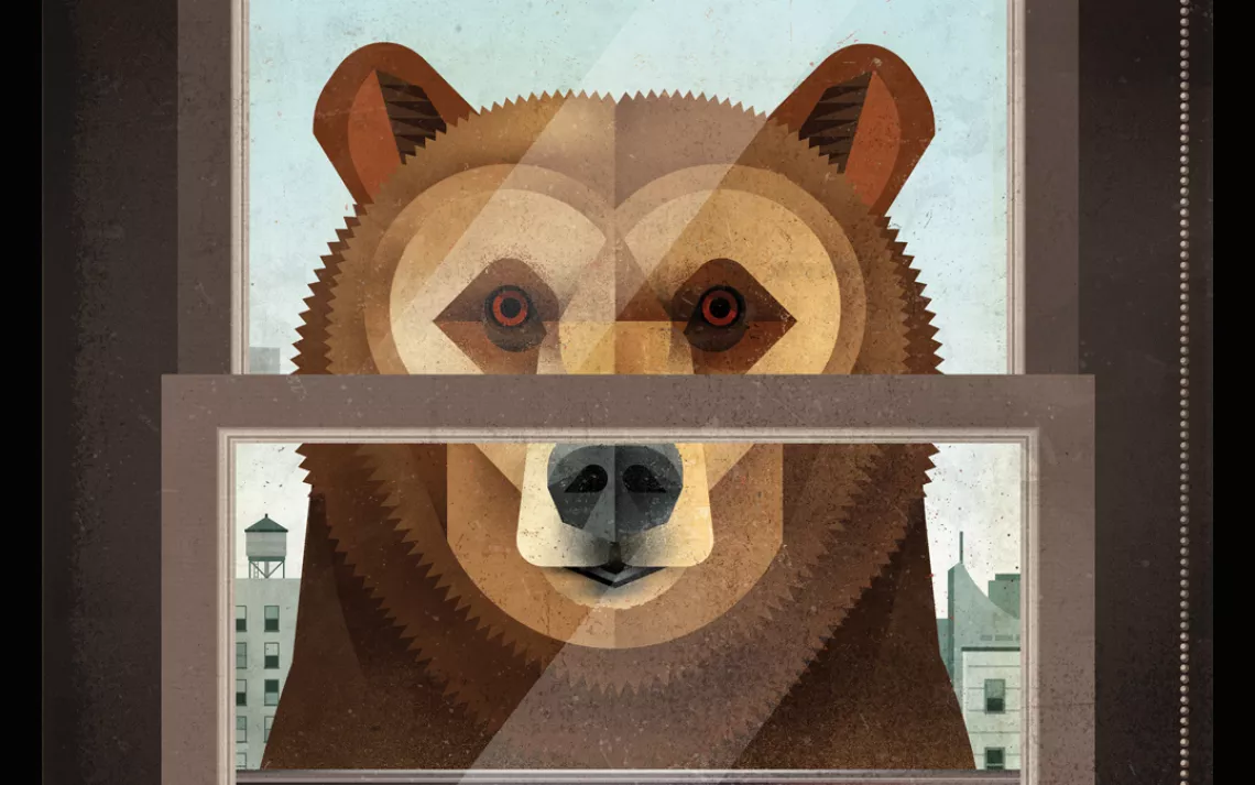 Illustration of bear