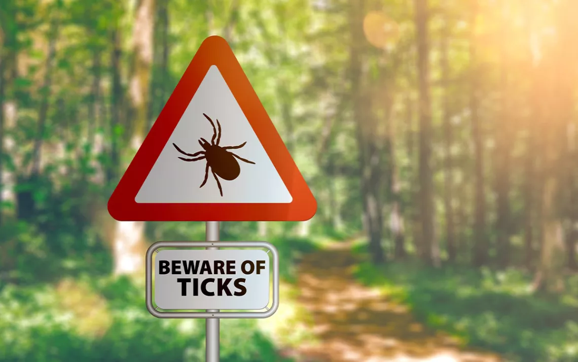A close-up of warning sign with text BEWARE OF TICKS