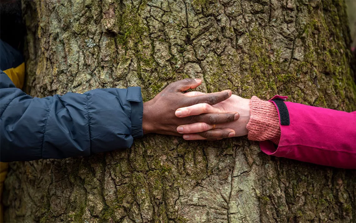 hands clasping around a tree