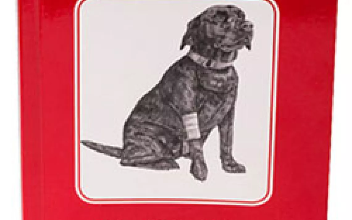 Field Guide to Dog First Aid