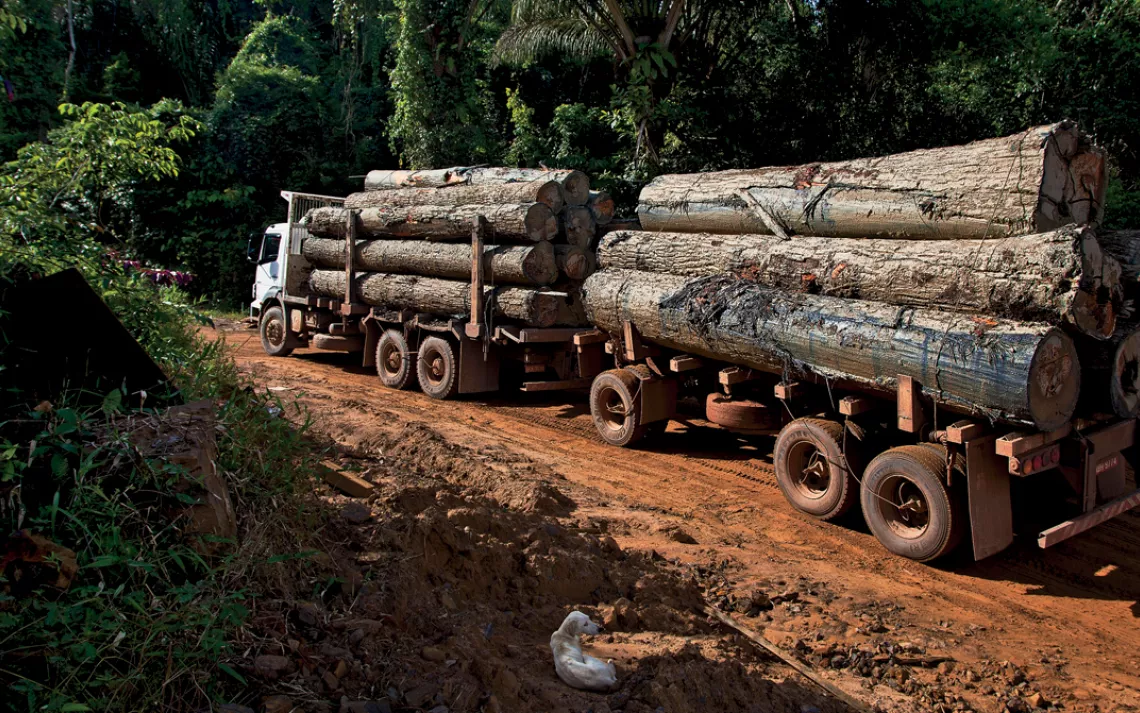 Logging Truck in Para StateA truck loaded with timber on the Curua-Una road after crossing the River of the same name, near Santarem, Para State.