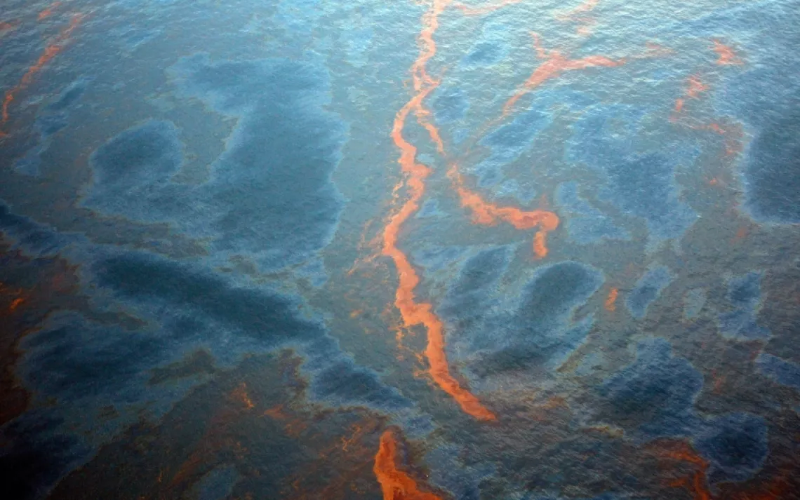Crude oil leaked from the Deepwater Horizon wellhead in the Gulf of Mexico, April 28, 2010