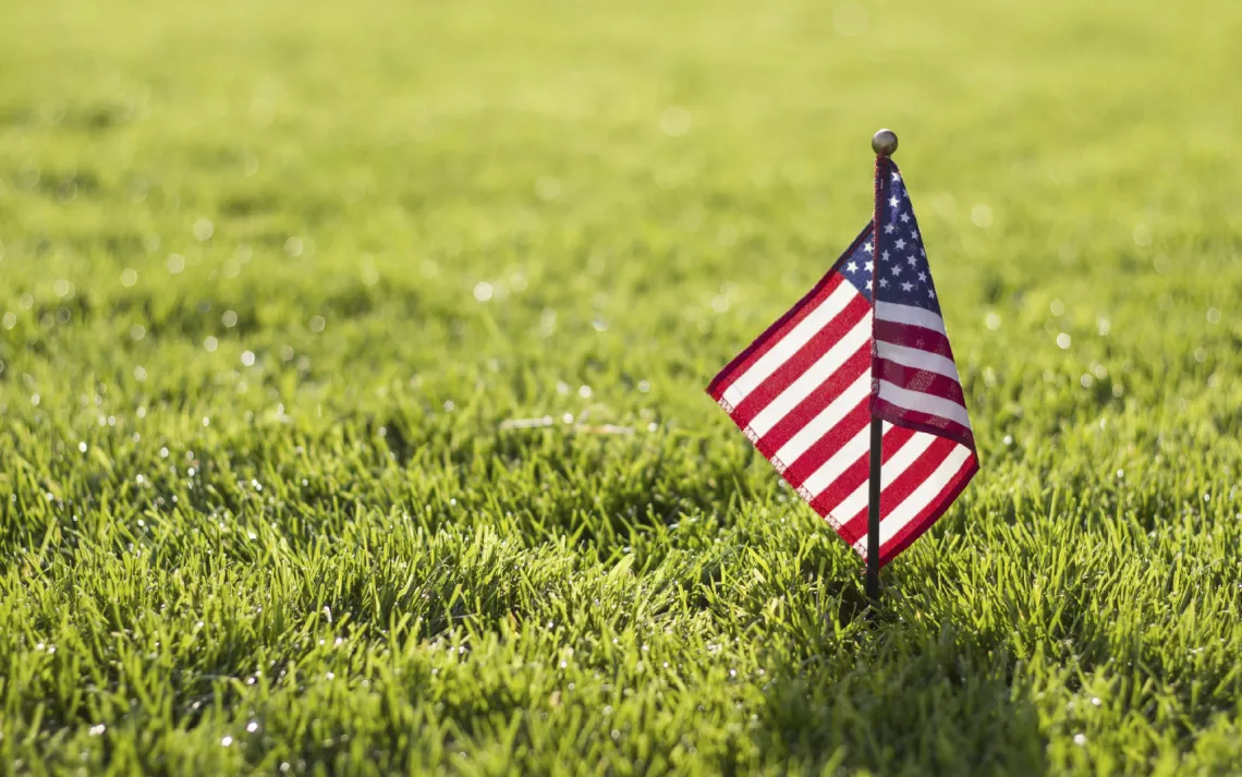 5 ways to green your 4th of July
