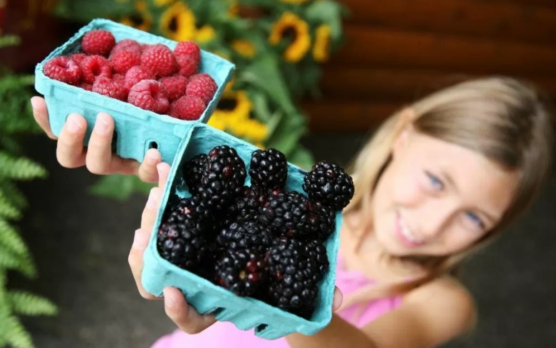 Green your kids' snacks with ecofriendly alternatives