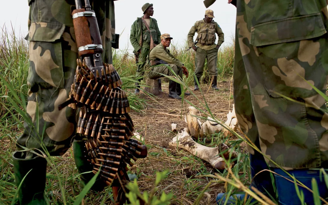 Anti-poaching rangers and Congolese soldiers patrolling Garamba National Park—too late for this elephant killed for its tusks. 
