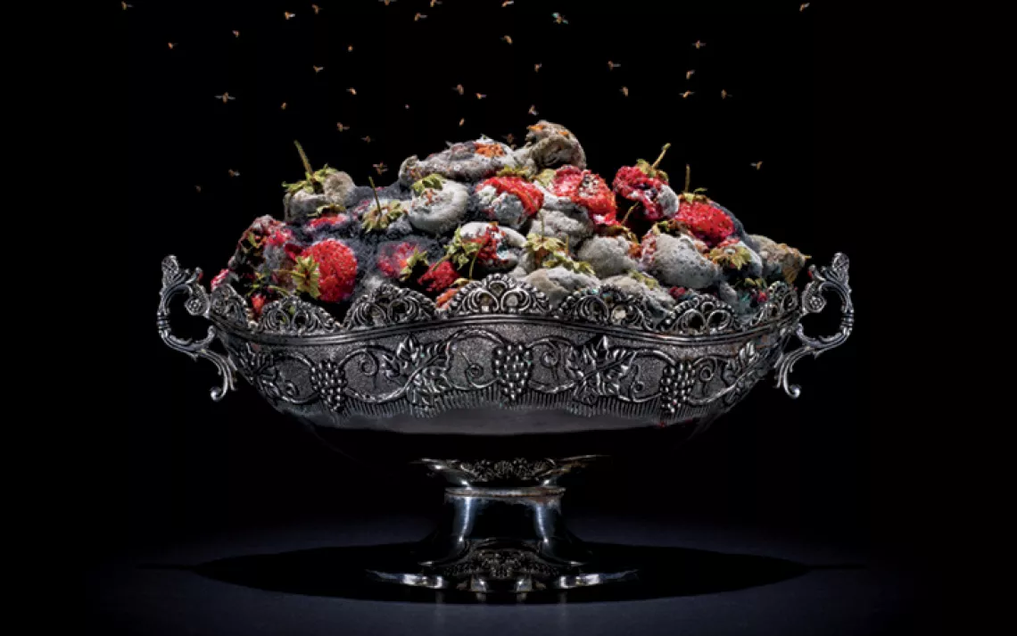 One of a series of still lifes in photographer Klaus Pichler's "One Third" project, which draws attention to the U.N. Food and Agriculture Organization's estimate that up to a third of the world's food is wasted. 