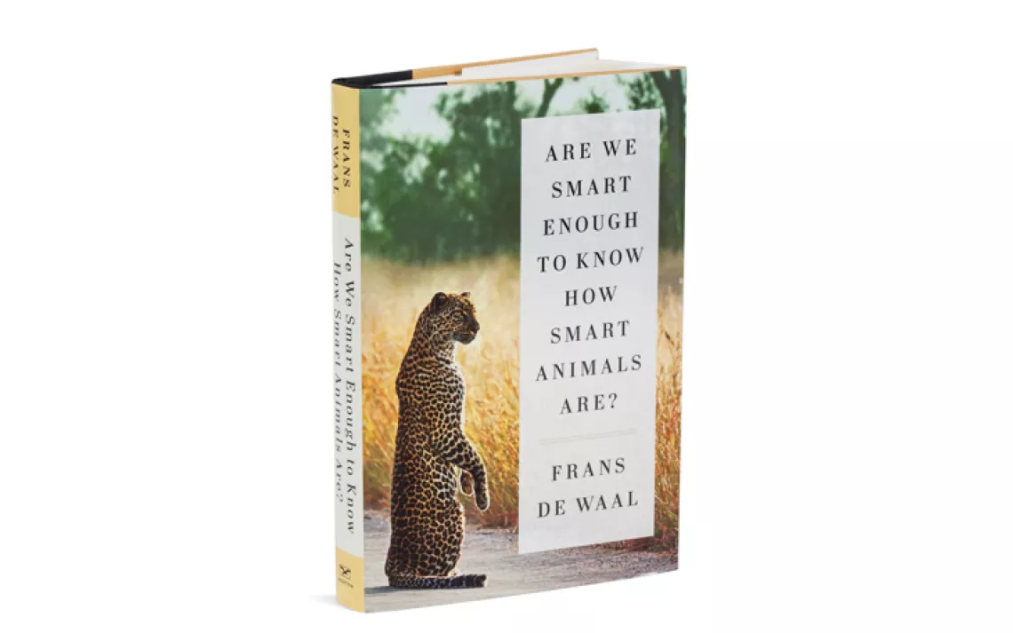 In Are We Smart Enough to Know How Smart Animals Are?, Frans de Waal argues that our fellow creatures deserve more credit.