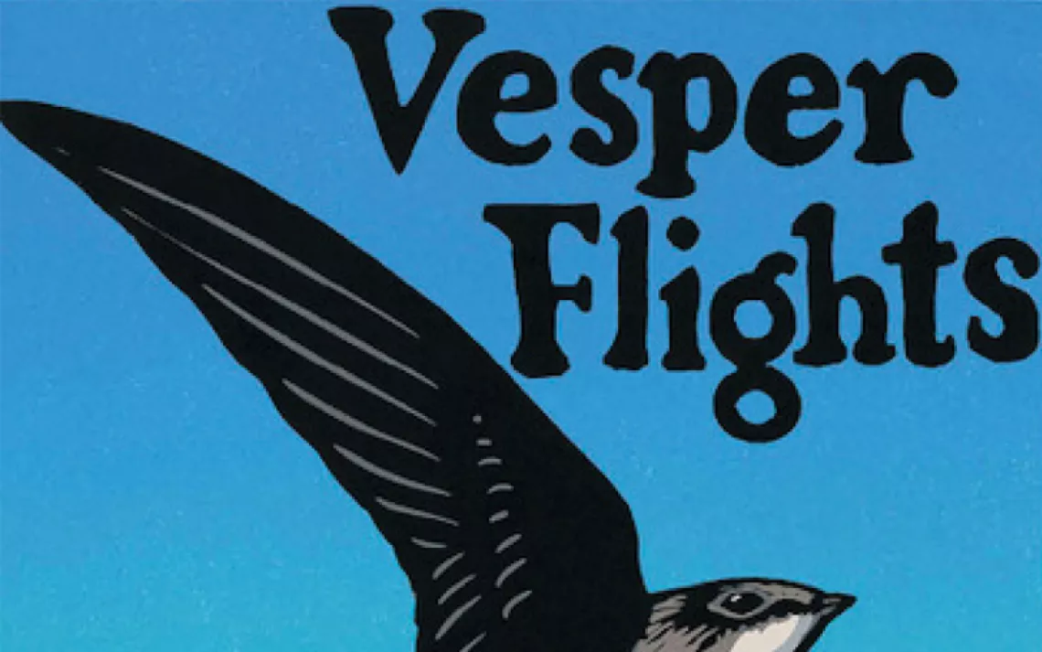 Vesper Flights cover