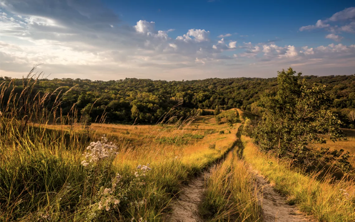 A dirt trail leads down toward rolling hills of green in Iowa's Loess Hills.
