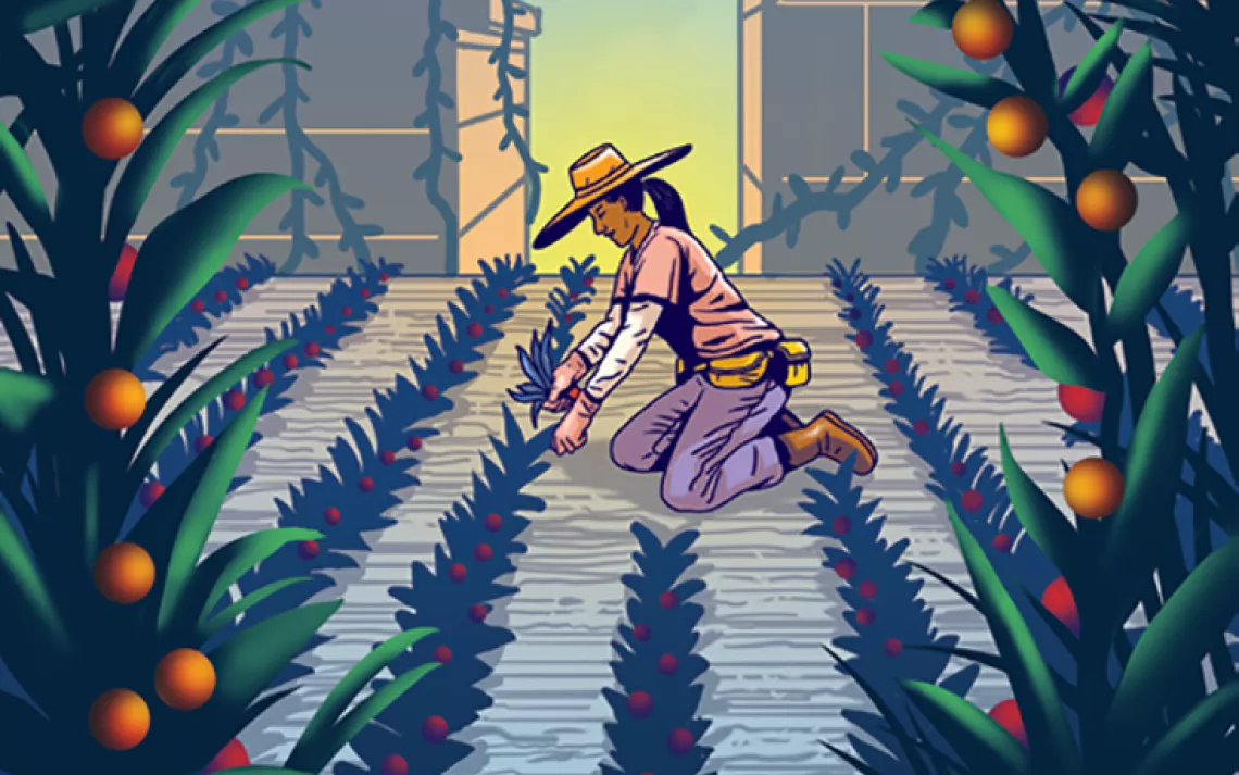 Illustration shows a gardener kneeling on the ground in between rows of crops. In the background are two buildings with vines growing up them.
