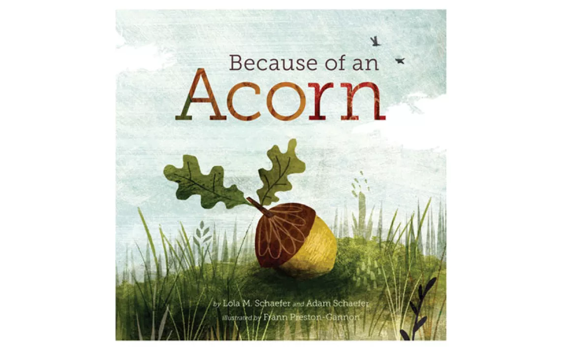 Because of an Acorn