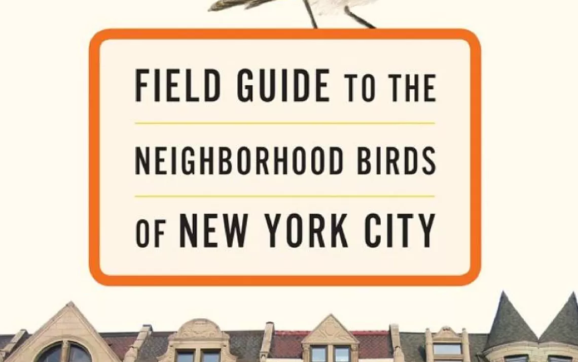 Field Guide to the Neighborhood Birds of New York City, by Leslie Day
