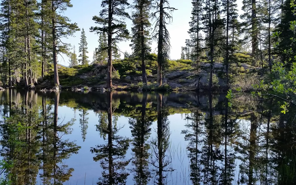 Trees reflect on a lake outside of Lake Tahoe.
