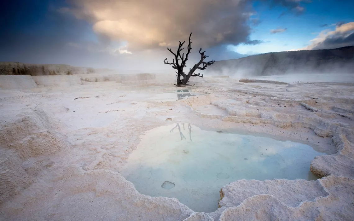 The unearthly Mammoth Hot Springs in Yellowstone National Park