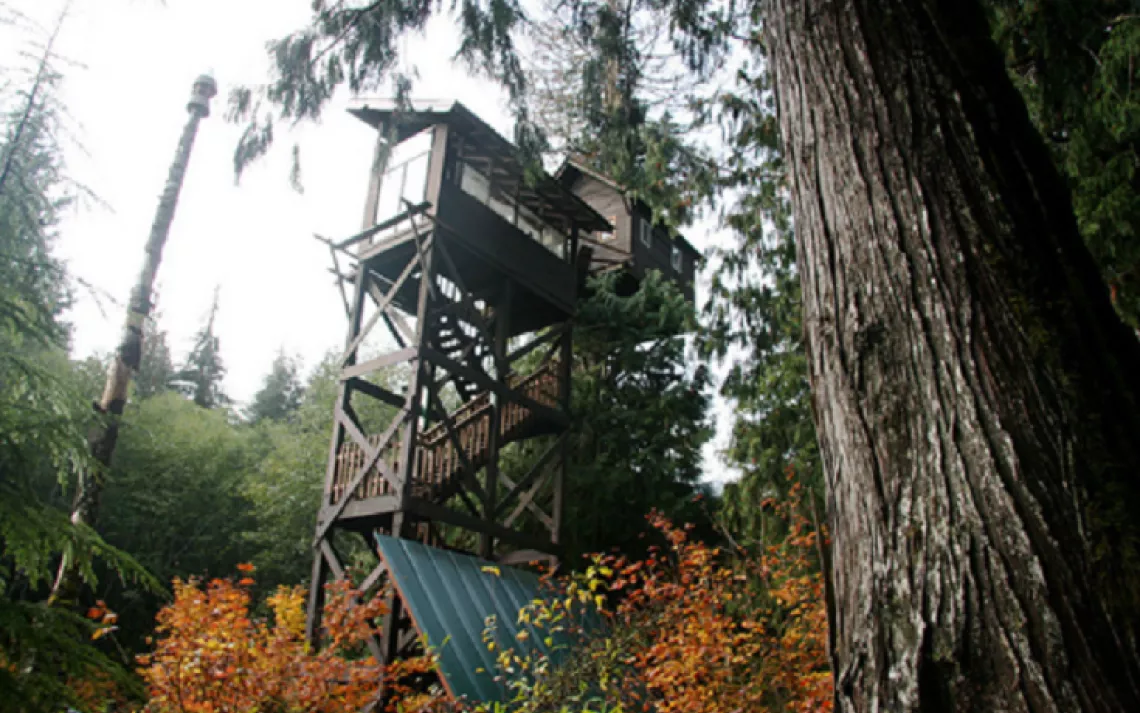 Cedar Creek Treehouse
