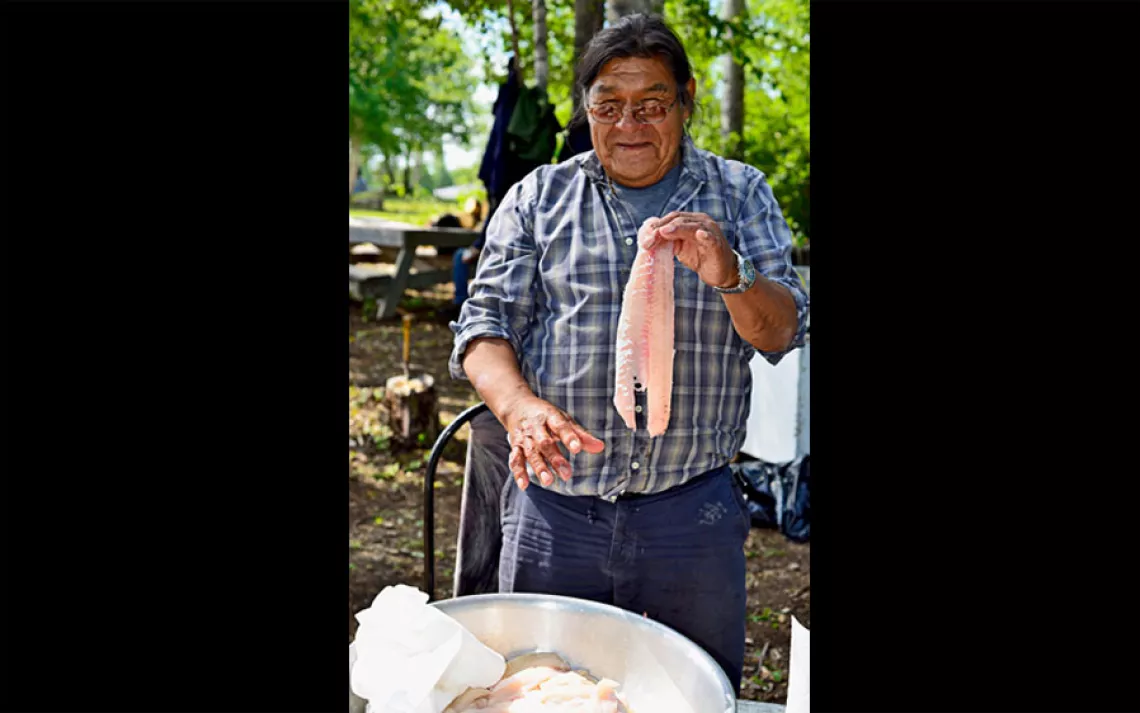 At Neskantaga's summer festival, Ojibwe elder Leo Moonias prepares walleye fillets for the pan.