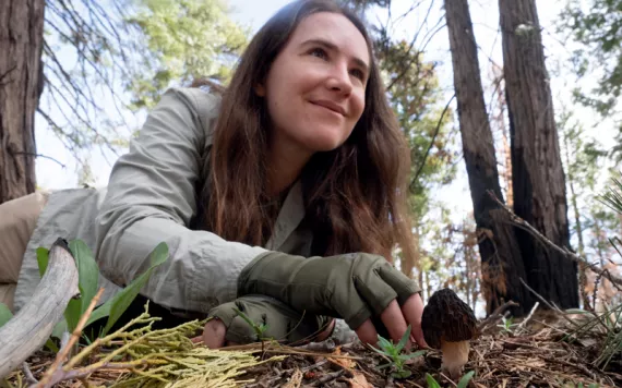 Thea Chesney smiles and reaches for a morel on the forest floor.