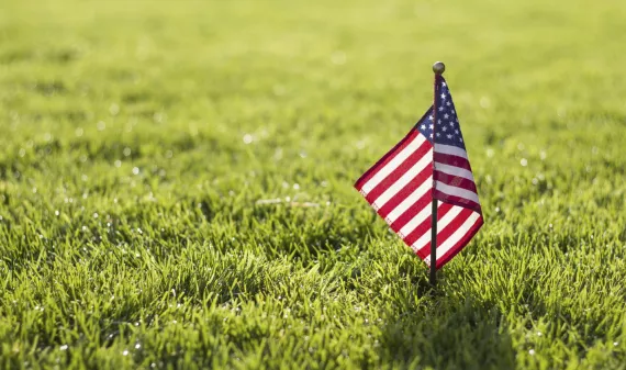 5 ways to green your 4th of July