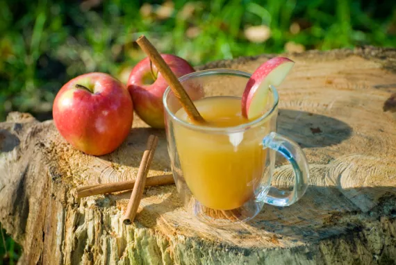 Beginner’s Guide to Home Brewing: Hard Cider