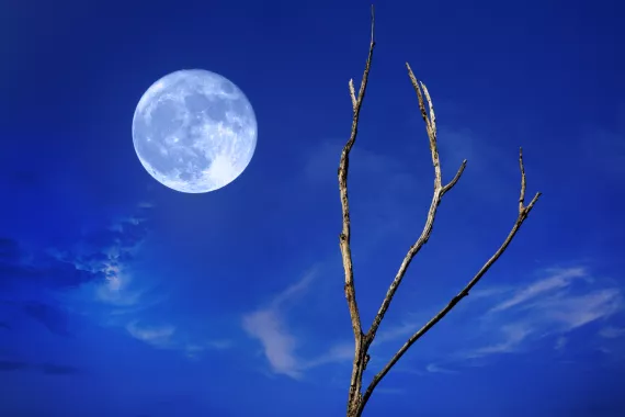 A Blue Moon (actual color varies) will occur at the end of July.