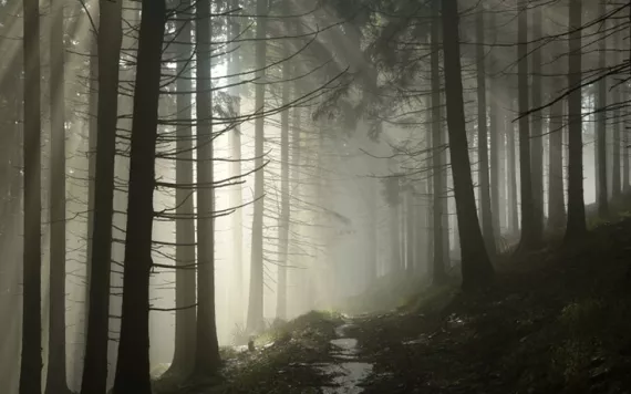 6 Haunted Hiking Trails -- Do You Dare?