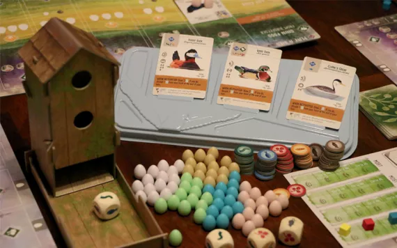 The components of the game Wingspan, including a small birdhouse, eggs, bird cards, food chips, and customized dice.
