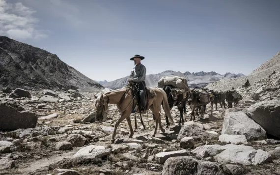 A man rides horseback leading five other pack animals (horses or mules) along a rocky portion of the John Muir Trail.
