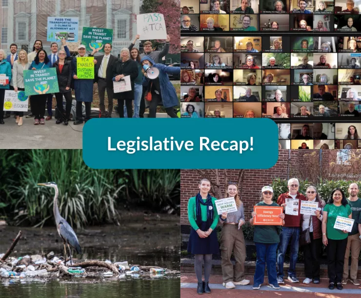 Collage of pictures featuring people holding signs at rallies, a heron on a pile of plastic litter, and a screenshot image of a virtual event on zoom. 