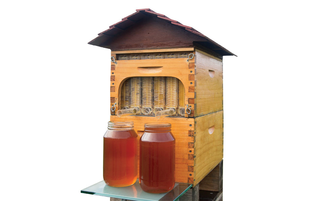 The Flow Hive takes the sting out of collecting honey.